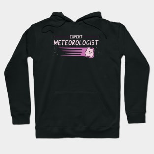 Expert Meteorologist Hoodie